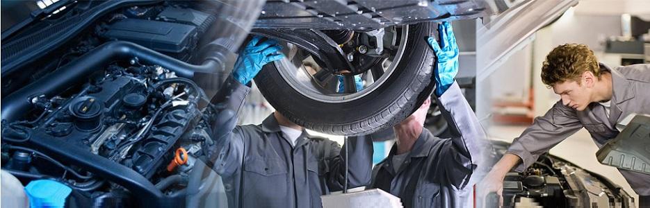 Стефи Газ - Infocall.bg