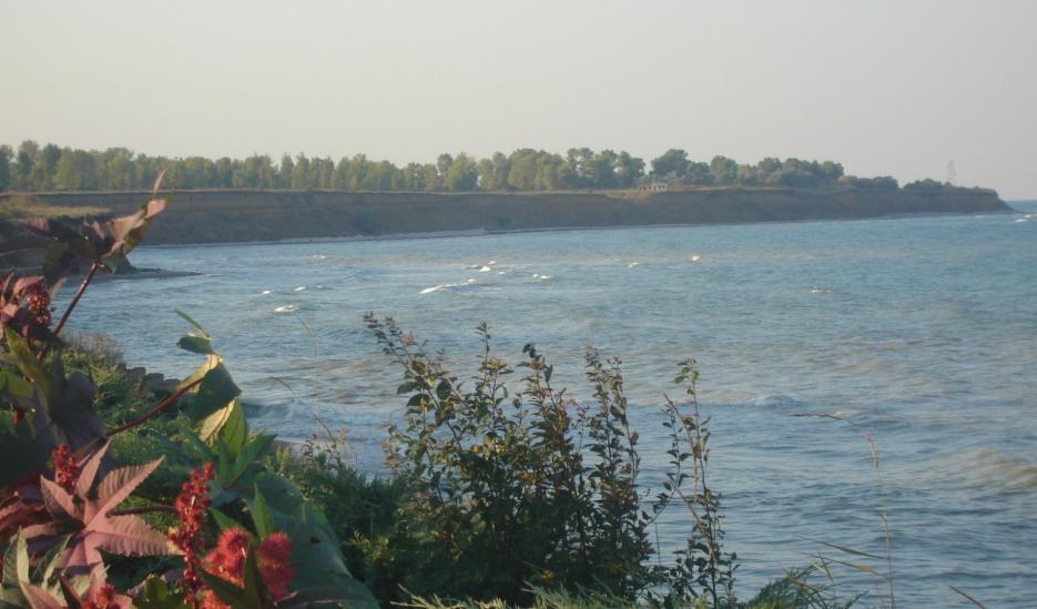 Вила Делфин - Infocall.bg