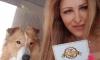 Ветеринарни услуги София-Люлин - VET STAR Clinic - изображение 1 Ветеринарни услуги София-Люлин - VET STAR Clinic - изображение 1