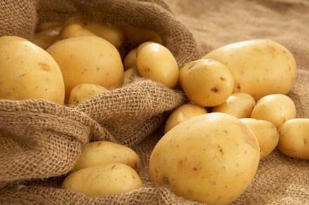Картофи в Самоков - Kartofki.com