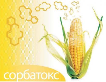 Консултантска помощ за храната на животните в София, Стара Загора, Велико Търново - Хрансервиз инженеринг АД Консултантска помощ за храната на животните в София, Стара Загора, Велико Търново - Хрансервиз инженеринг АД