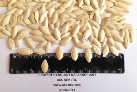 Производство и преработка на селскостопанска продукция в Дулово - АКС - НЕВ ЕООД Производство и преработка на селскостопанска продукция в Дулово - АКС - НЕВ ЕООД