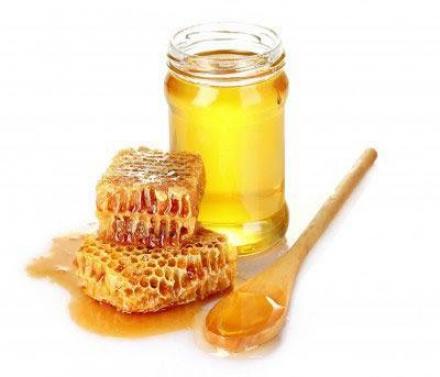 Производство и търговия с мед и пчелни продукти в Раковски - Производител на мед в Раковски Производство и търговия с мед и пчелни продукти в Раковски - Производител на мед в Раковски