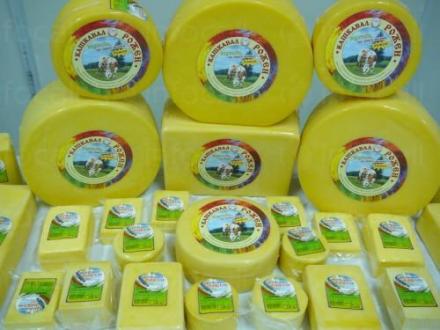 Производство на млечни продукти в Давидково-Баните - Рожен Милк ООД Производство на млечни продукти в Давидково-Баните - Рожен Милк ООД
