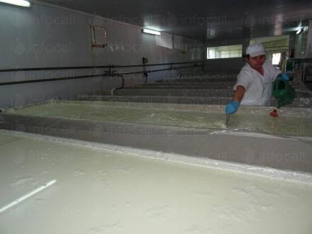 Производство на млечни продукти в област Бургас - Гана 99 ООД Производство на млечни продукти в област Бургас - Гана 99 ООД