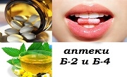 Аптеки Б - 2 и Б - 4 Аптеки Б - 2 и Б - 4