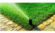 Майско цвете ООД Майско цвете ООД