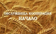 ОК Начало ОК Начало