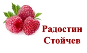 Радостин Стойчев - Infocall.bg