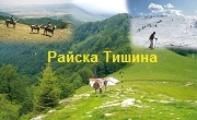 Райска Тишина - Infocall.bg