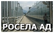 Росела АД Росела АД