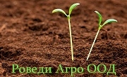 РОВЕДИ АГРО ООД РОВЕДИ АГРО ООД