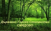 Дърводобив Смядово Дърводобив Смядово