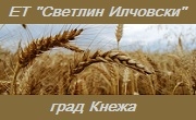 Светлин Илчовски  ЕТ - Infocall.bg