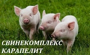Свинекомплекс Карапелит Свинекомплекс Карапелит