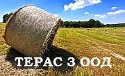 Терас 3 ООД Терас 3 ООД