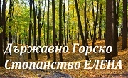 ТП ДГС Елена ТП ДГС Елена