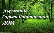 ТП ДГС Лом ТП ДГС Лом