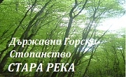 ТП ДГС Стара река ТП ДГС Стара река