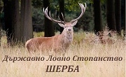 ТП ДЛС Шерба ТП ДЛС Шерба