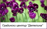 Градински център Детелина Градински център Детелина