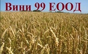 Вини 99 ЕООД