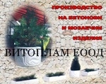 ВИТОПЛАМ ЕООД ВИТОПЛАМ ЕООД