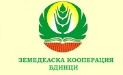 ЗК Бдинци ЗК Бдинци