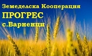 ЗК Прогрес ЗК Прогрес