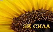 ЗК Сила ЗК Сила