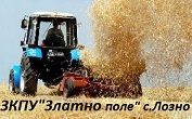ЗКПУ Златно поле  