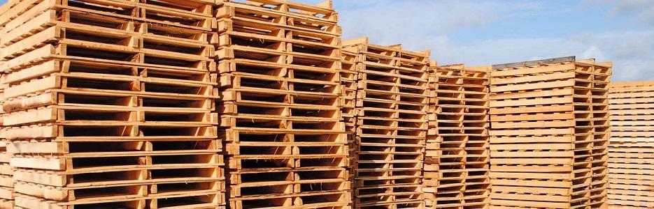 Палети Варна - Infocall.bg Палети Варна - Infocall.bg