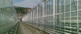 Зеленчукови оранжерии в Симитли Зеленчукови оранжерии в Симитли