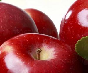 Продажба Ябълки - ЗК 16 Декември 