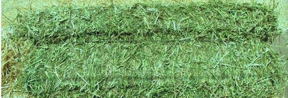 Продажба на бали люцерна в област Силистра - Infocall.bg Продажба на бали люцерна в област Силистра - Infocall.bg