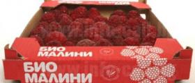 Био малини в Самоков Био малини в Самоков