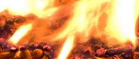 Пелети за отопление в Плевен - Майкромет ООД Пелети за отопление в Плевен - Майкромет ООД