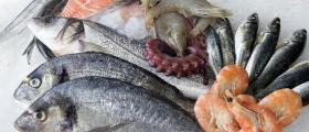 Продажба на риба и рибни продукти на едро във Варна - Север Експорт ООД