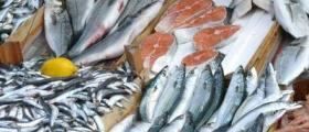 Рибни продукти в София-Орландовци - Риба и рибни продукти София Рибни продукти в София-Орландовци - Риба и рибни продукти София