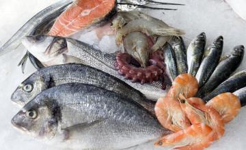 Продажба на риба и рибни продукти на едро във Варна Продажба на риба и рибни продукти на едро във Варна