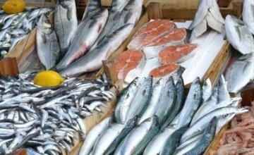 Рибни продукти в София-Орландовци Рибни продукти в София-Орландовци