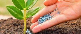 Дистрибуция и продажба на препарати за растителна защита в Кубрат, Русе и Глоджево - Земеделски услуги Дистрибуция и продажба на препарати за растителна защита в Кубрат, Русе и Глоджево - Земеделски услуги