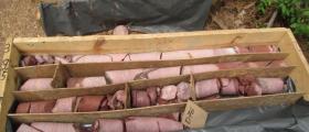 Геофизични и геоложки проучвания Ямбол - Хефест Геотех Дрилинг ООД