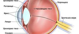 Лечение на очни заболявания в Хасково - МБАЛ Хигия ООД Лечение на очни заболявания в Хасково - МБАЛ Хигия ООД