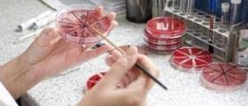 Медицински изследвания в град Пловдив Медицински изследвания в град Пловдив
