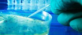Медицински изследвания в София-Оборище Медицински изследвания в София-Оборище