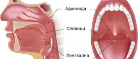 Оперативно лечение на сливици - Професор д-р Спас Консулов 