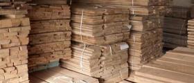 Продажба на дървен материал в Априлци - БАЛКАНДЖИИ 