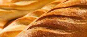 Продажба на хлебни изделия в Стрелча - Наги 2008 ЕООД