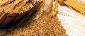 Продажба на зърно в Любимец-Хасково